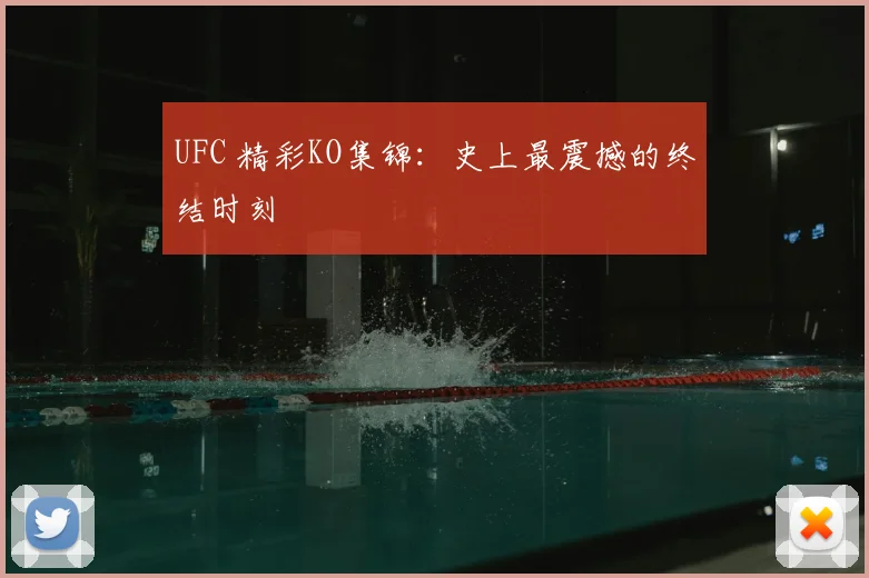 UFC 精彩KO集锦:史上最震撼的终结时刻