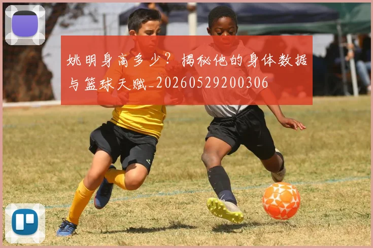 姚明身高多少？揭秘他的身体数据与篮球天赋_20260529200306