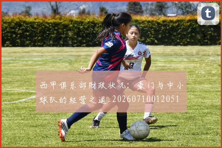 西甲俱乐部财政状况：豪门与中小球队的经营之道_20260710012051