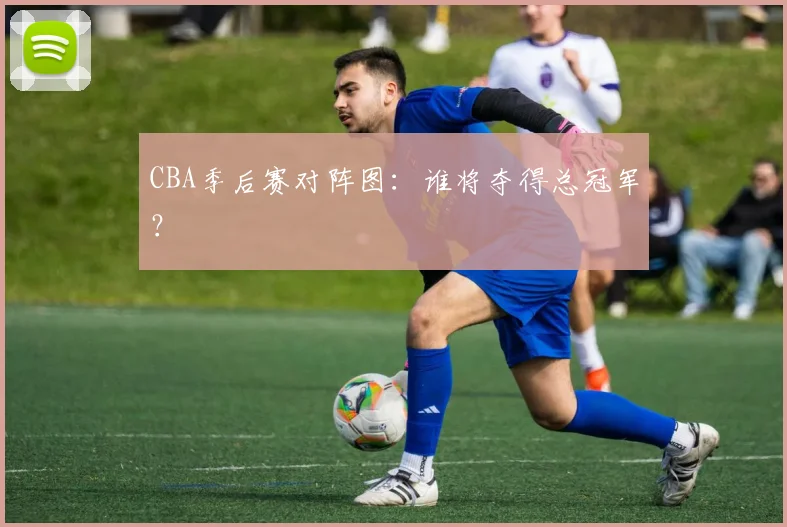 CBA季后赛对阵图：谁将夺得总冠军？