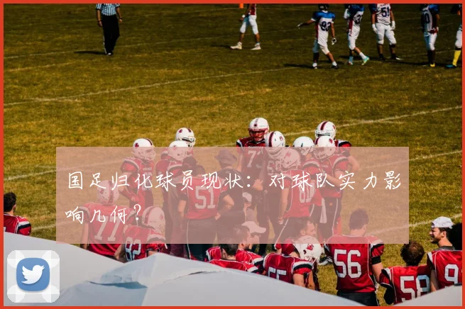 国足归化球员现状：对球队实力影响几何？