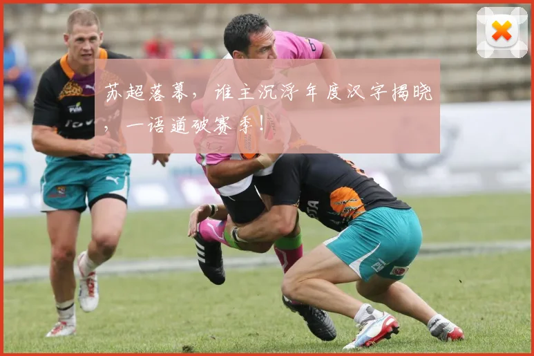 苏超落幕，谁主沉浮年度汉字揭晓，一语道破赛季！